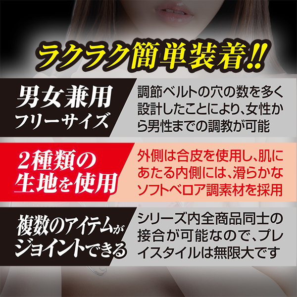 yWWO~ʌzrliX}[gj@PPllP_聄